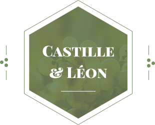 Castille et Leon